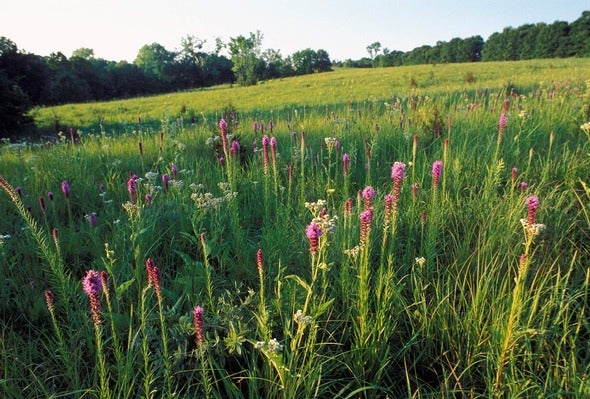 Morris Prairie Conservation Area