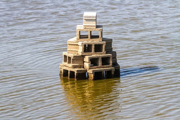 Several fish attractors were placed at the bottom of Schell Lake to serve as deepwater refuge. 
