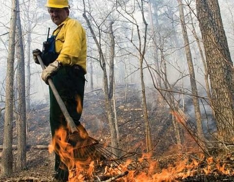 using prescribed fire to manage land