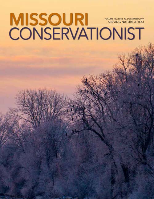 Magazine cover for the missouri conservationist 12-2017