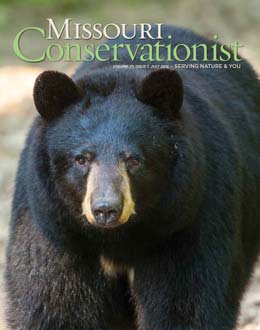 MO Conservationist cover 07-2016 featuring a black bear