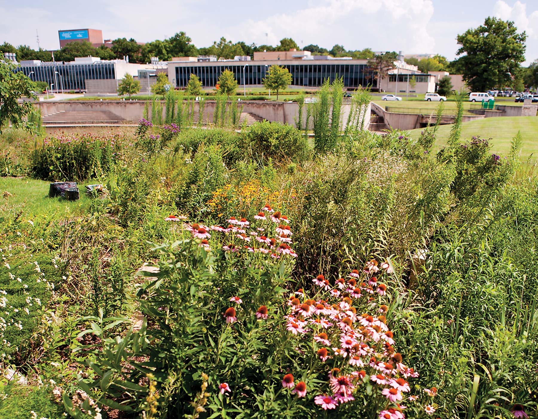 urban gardens