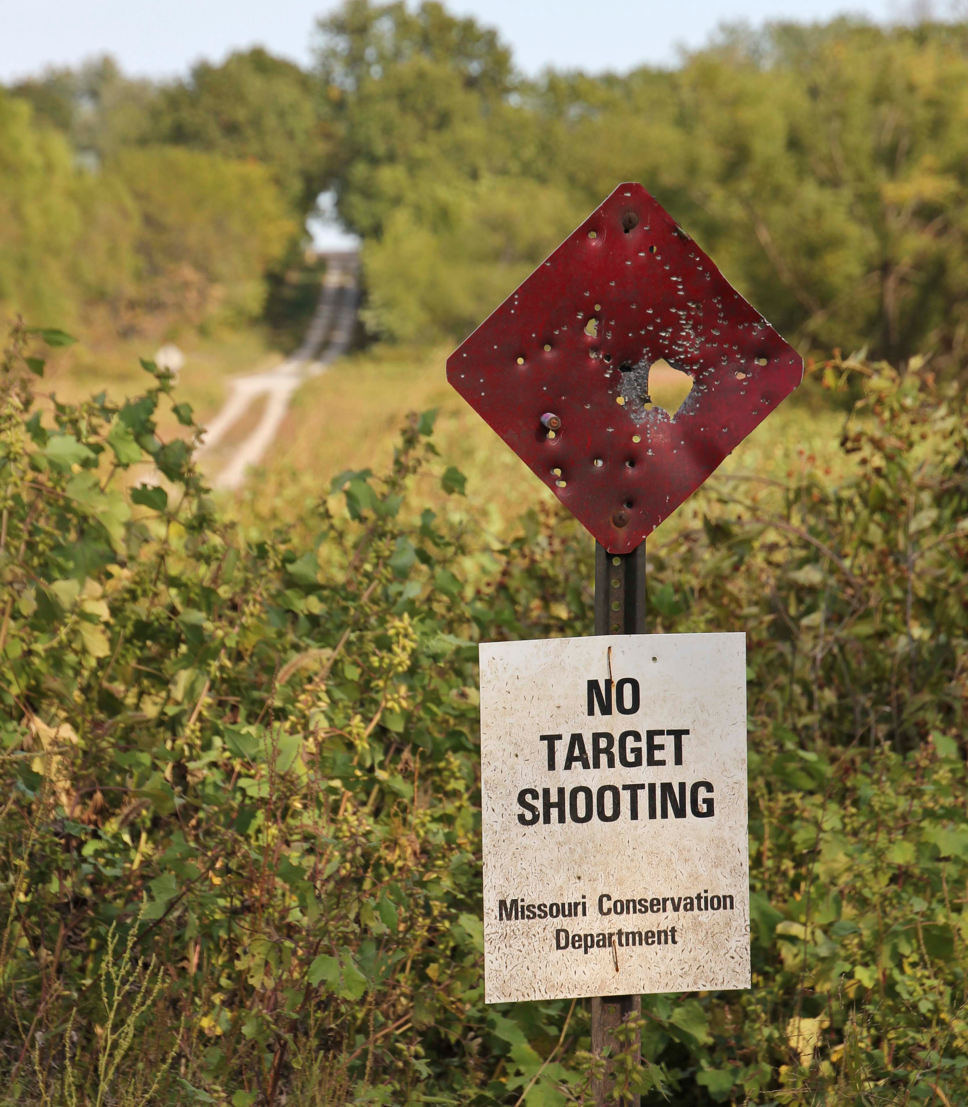 shooting at signs is unsafe