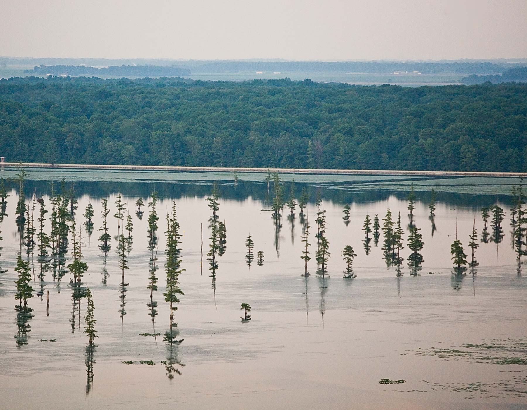 MDC to add ADAaccessible fishing platforms and courtesy docks at Duck