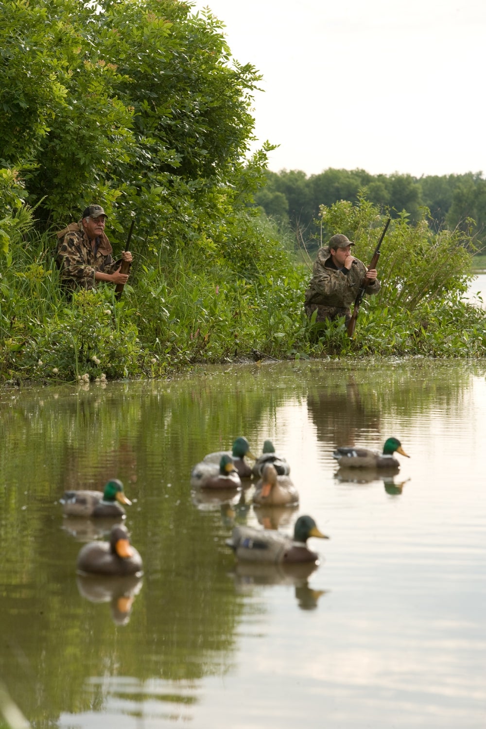 MDC announces habitat status and changes for waterfowl hunters at