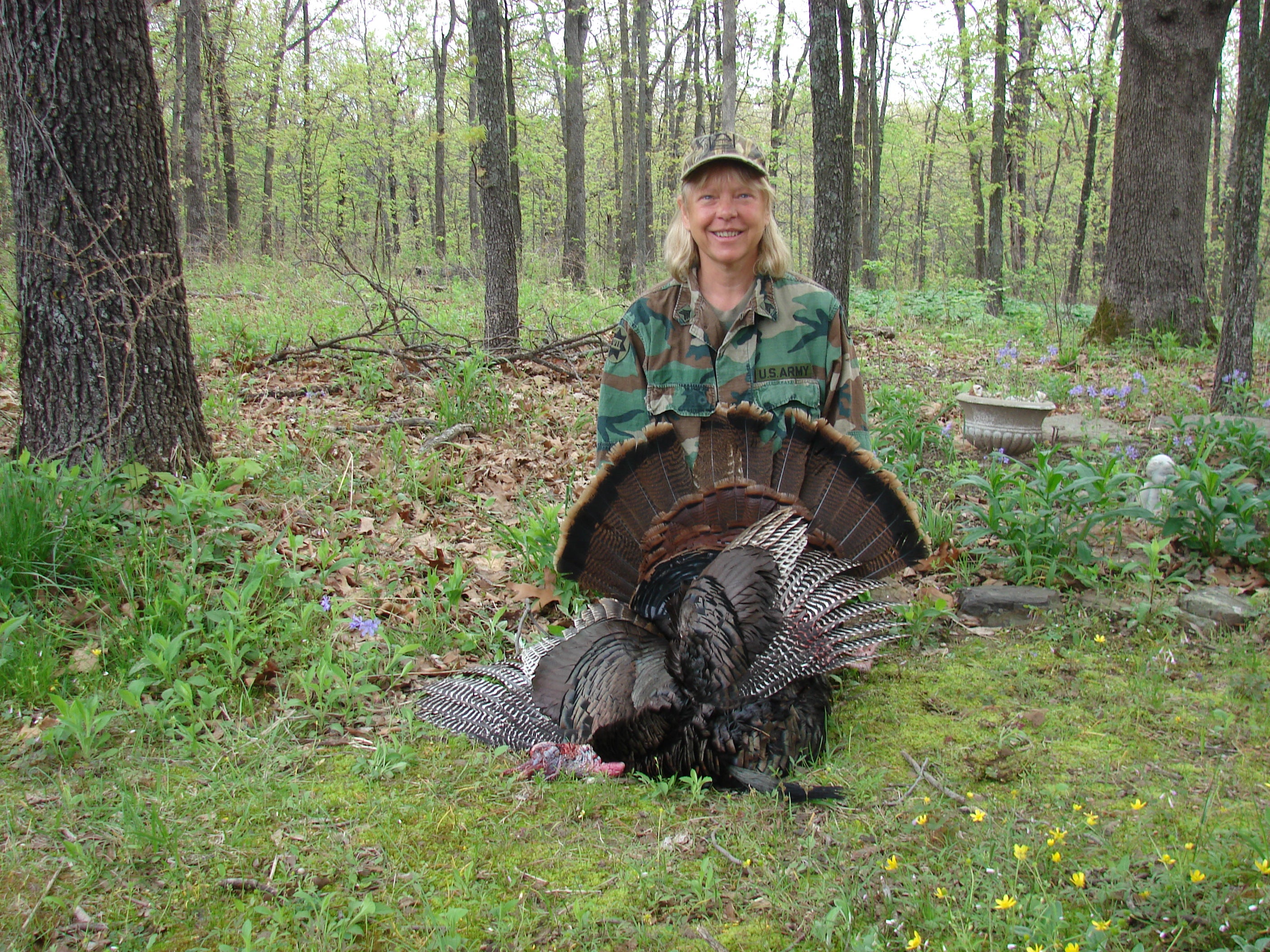 2014 spring turkey hunting outlook good for much of Missouri Missouri