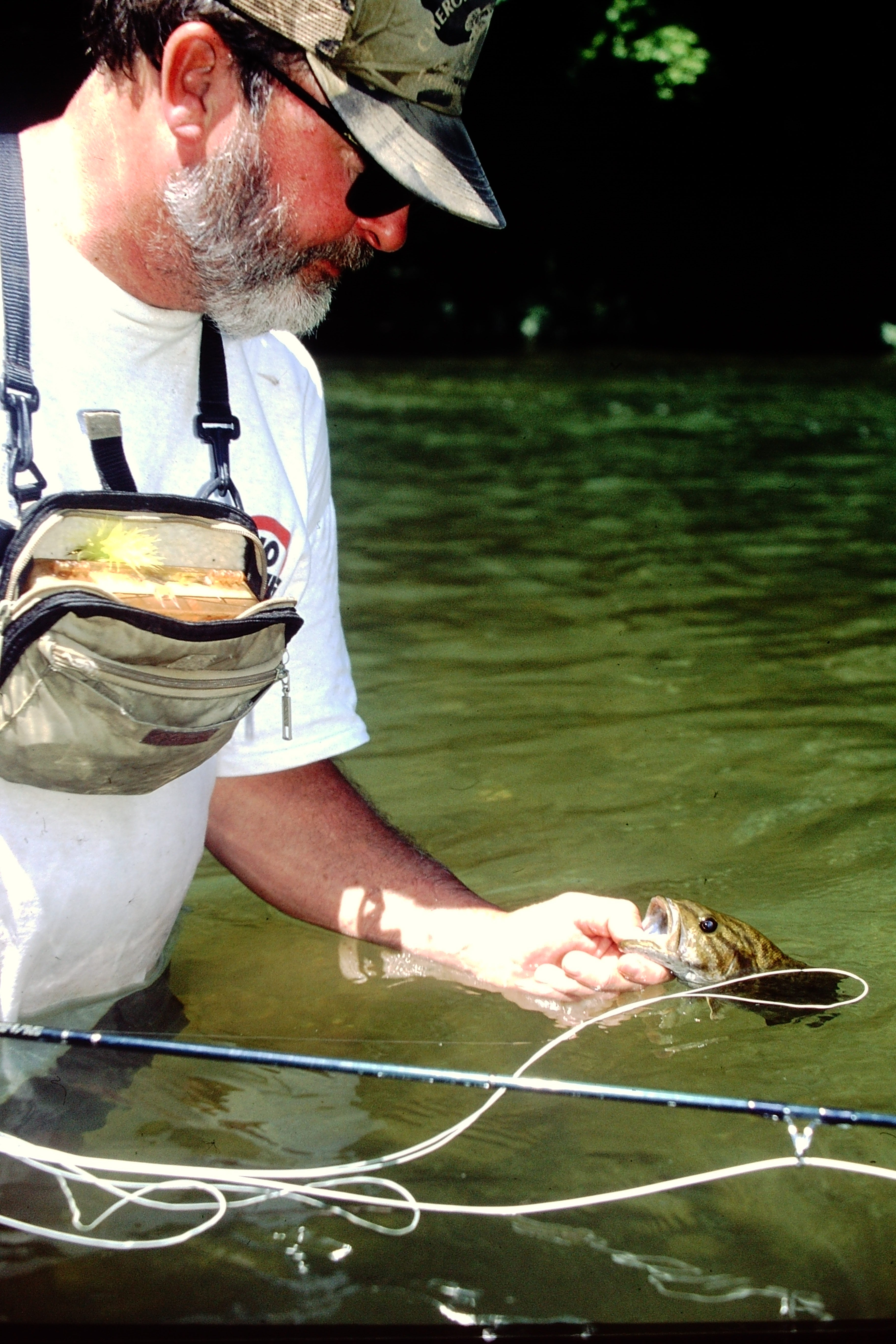 A fly-fisherman prepares to release a smallmouth bass.