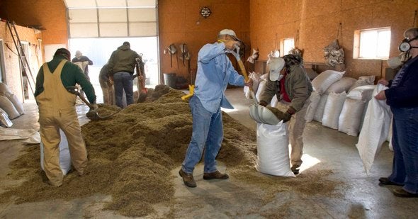 Prairie Seed Mixing