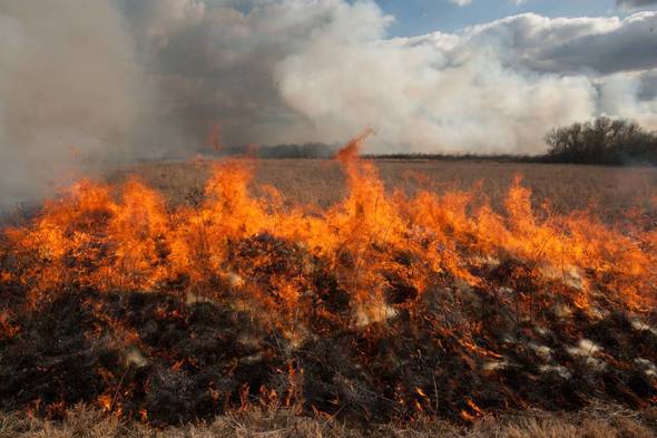 Prescribed Fire