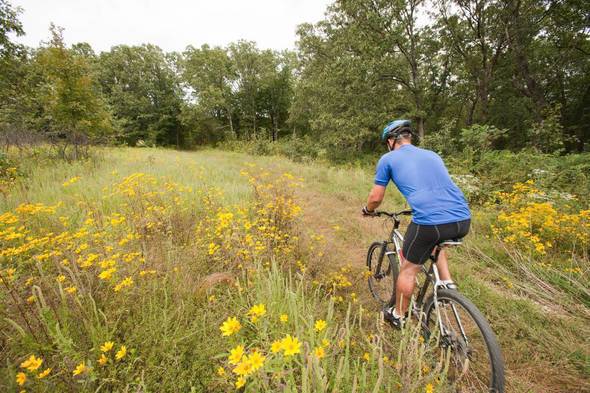 Canaan Conservation Area Bicyclist