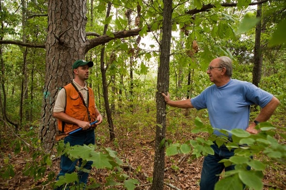 Timber Harvest