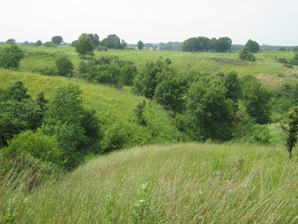 Union Ridge Conservation Area 