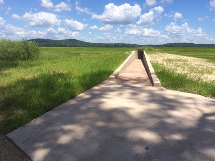 Duck Creek Blind Entrance