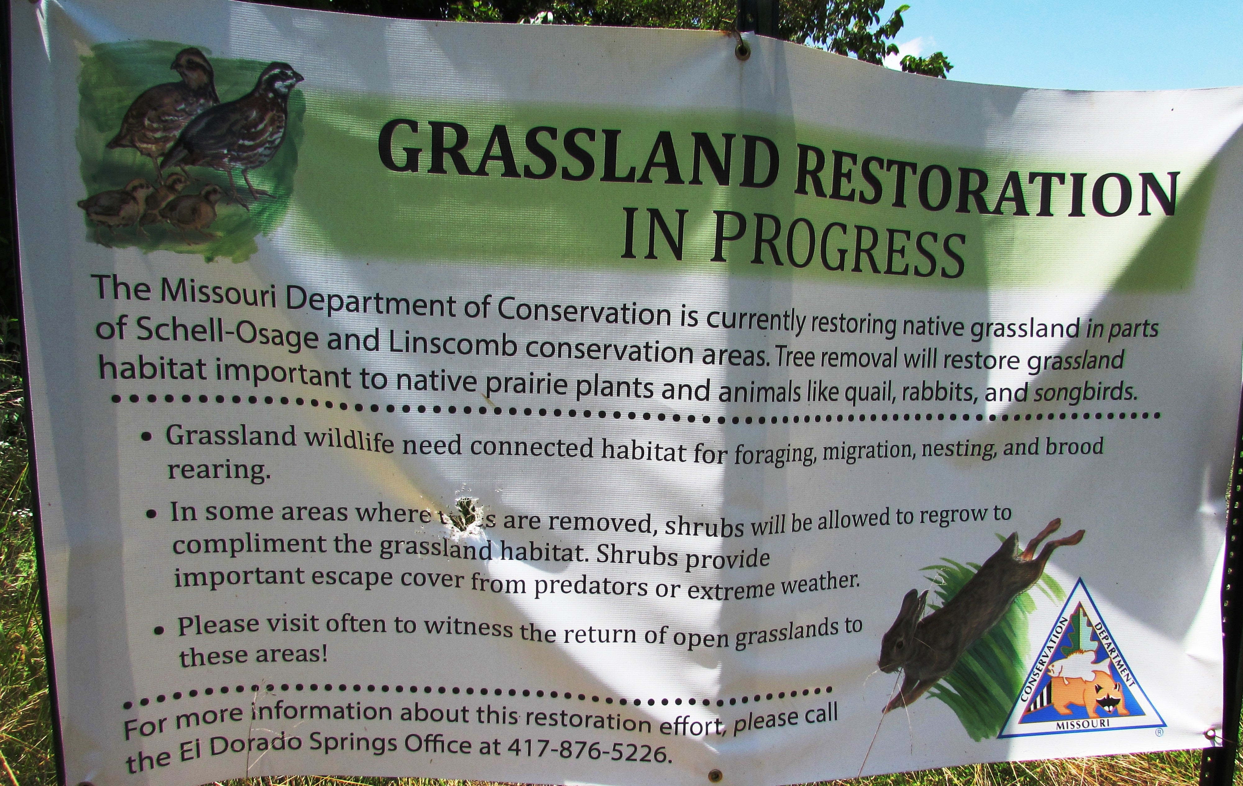 MDC temporarily closes parts of Schell-Osage for grassland restoration |  Missouri Department of Conservation