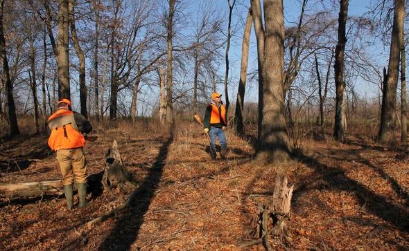 Linscomb Wildlife Area 
