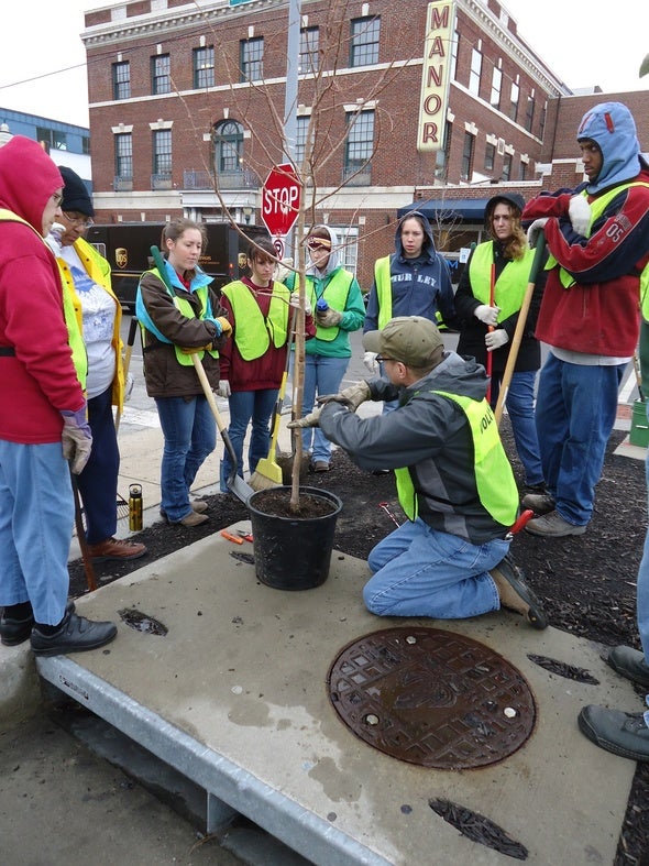 A volunteer shows other volunteers how to plant, prune, and care for trees in urban areas.