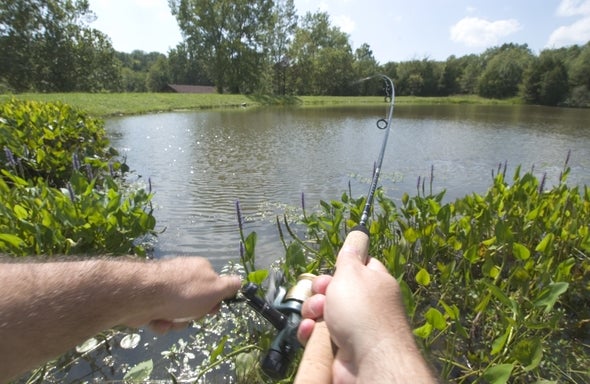 Fishing from a pond