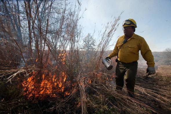Prescribed Burn