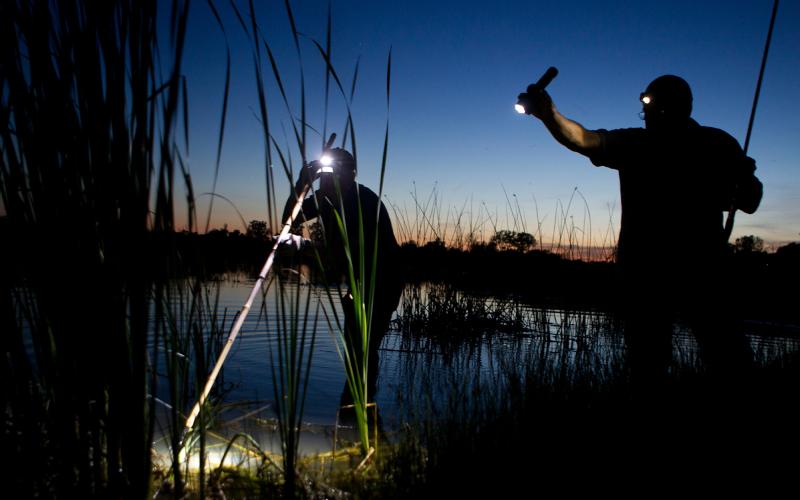 two people frogging at night