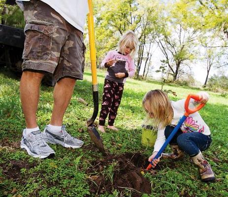 Family planting tree