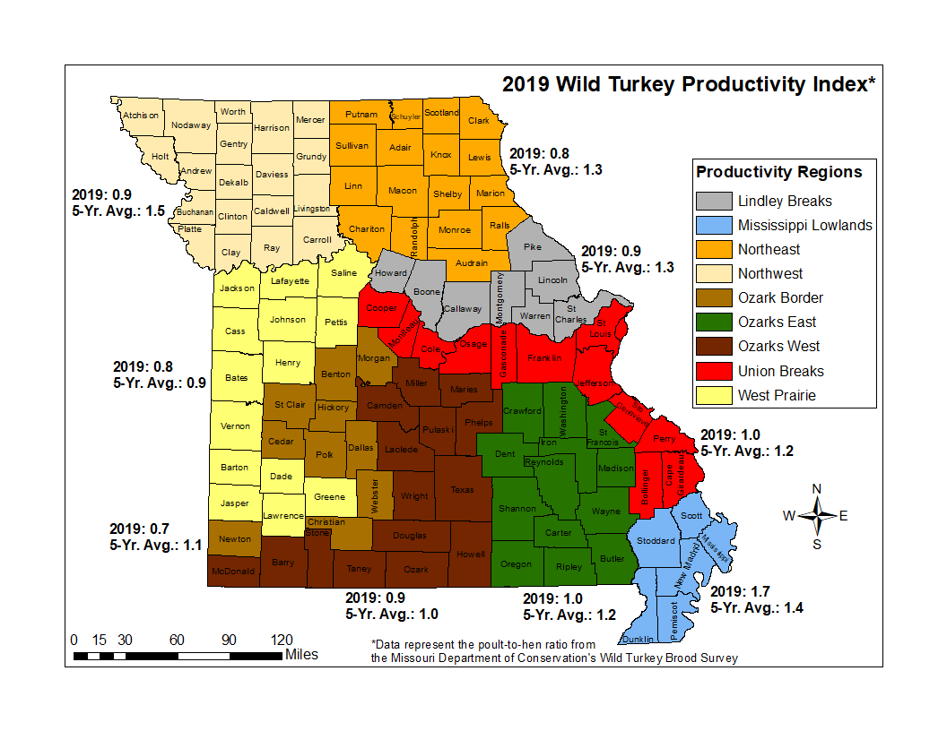 2019 Turkey Production Map