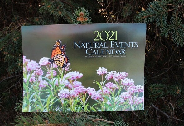 2021 Natural Events calendar