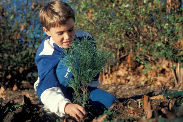 Kid planting a tree.