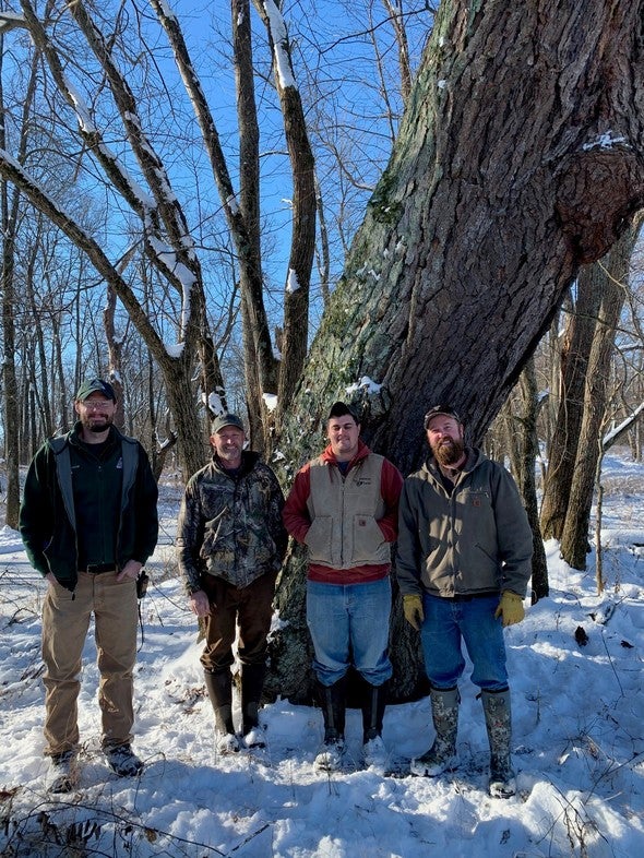 Forester A.J. Campbell, George Wieberg, Kirby Asher, and Andrew Robinson stand at the base of the champion river birch tree.