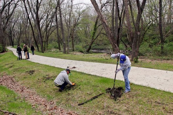 Volunteers planting trees.