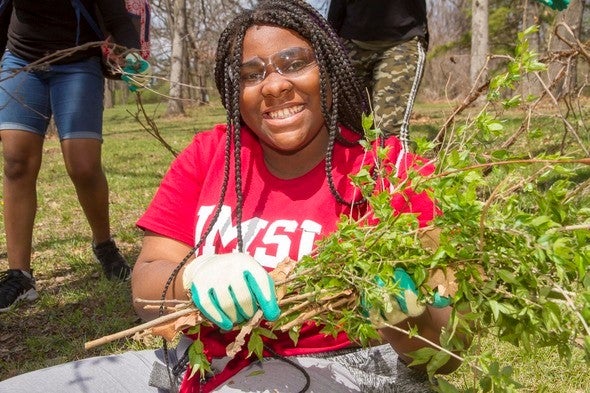 Lady helping remove bush honeysuckle