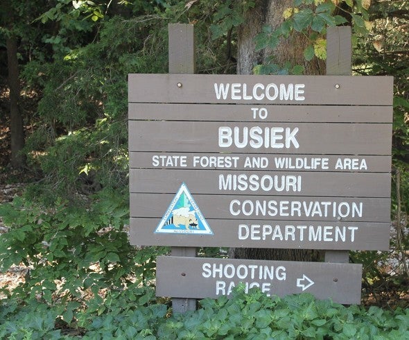 Busiek State Forest sign