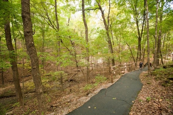 Cape Girardeau Nature Center Trails
