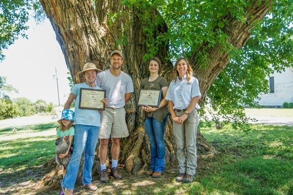 People in front of champion Osage orange tree