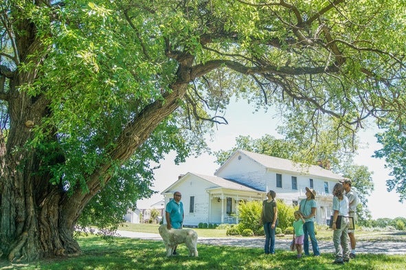 People under champion Osage orange tree.