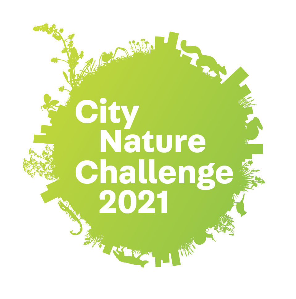 City Nature Challenge logo