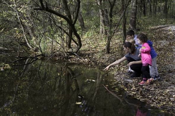 Kids being taught about nature.