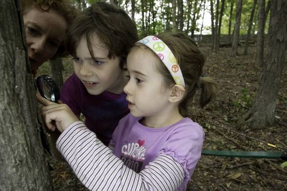 Students looking at trees.