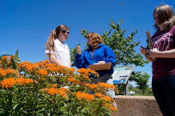 Discover Nature Schools teacher training