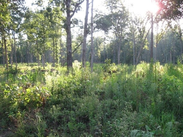 Doniphan habitat.