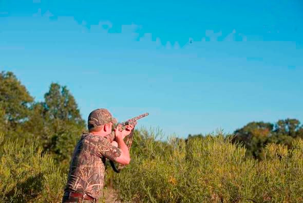 Dove Hunting at Talbot CA