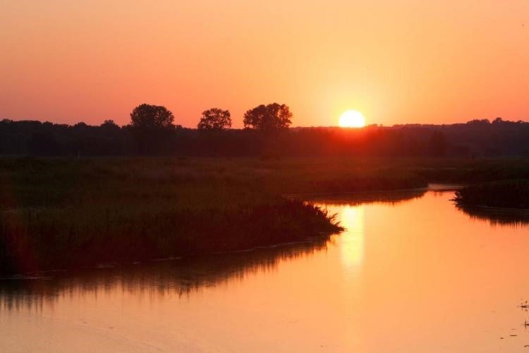 The sun hovers over the horizon at Eagle Bluffs Conservation Area.
