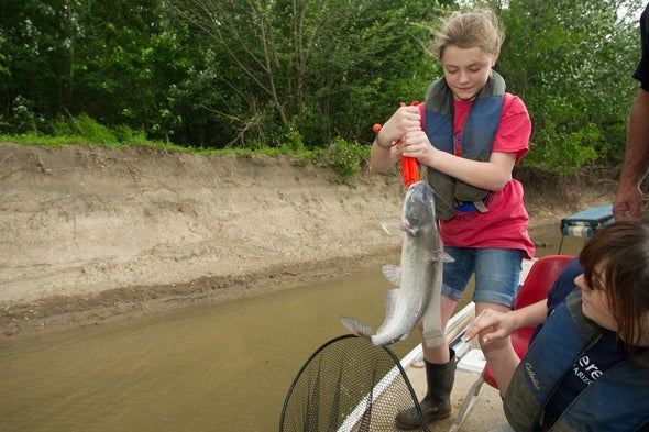 A girl lifts a catfish out of a net and onto a boat.