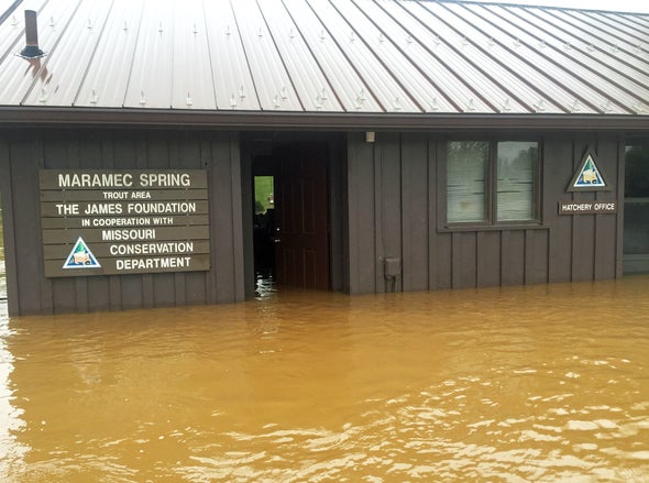Flooded Maramec Spring Hatchery 