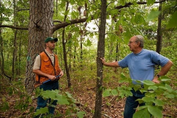 MDC forester talks with landowner in woodland