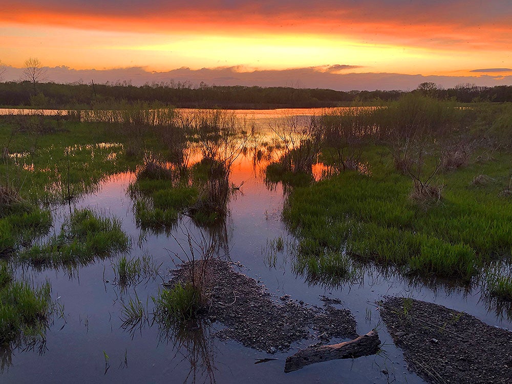 Sunset at Kendzora Conservation Area