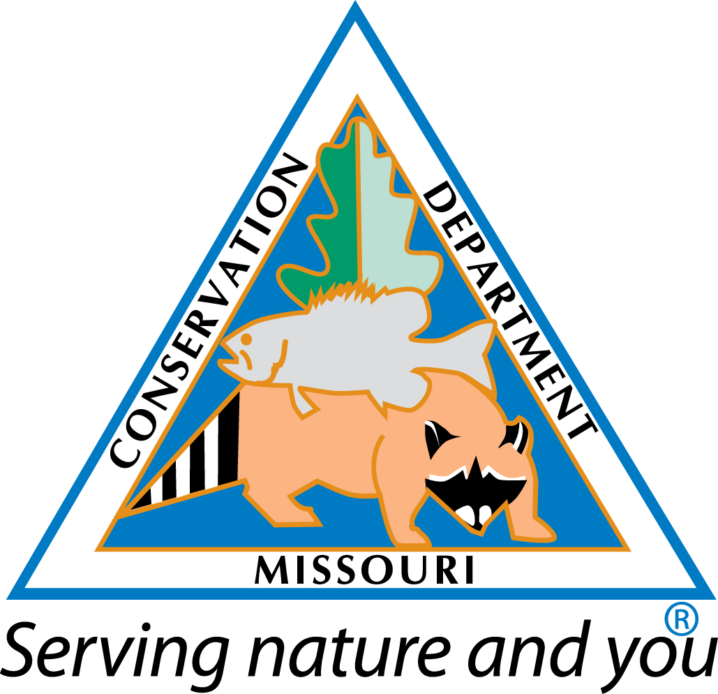 MDC color logo