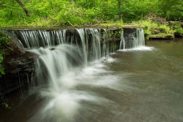 Spring-fed waterfall on Mint Spring Conservation Area.
