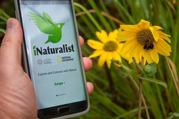 Iphone app of iNaturalist