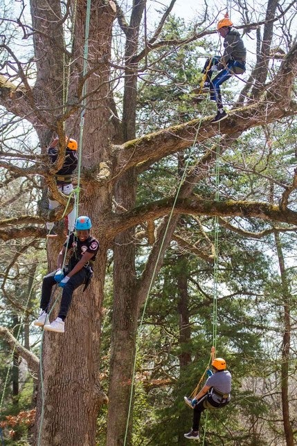 Students climbing trees.