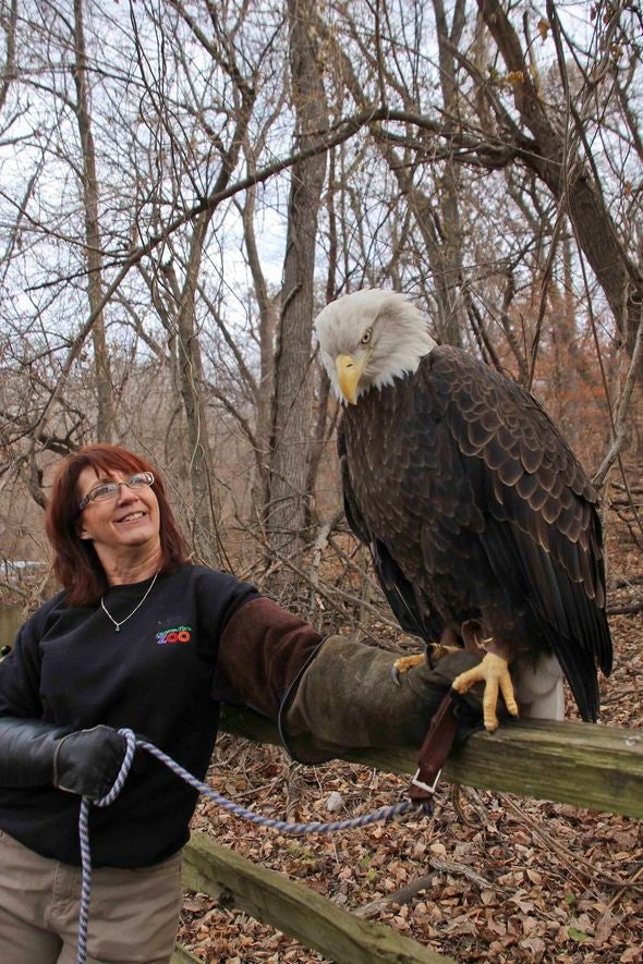 Pam Price holding eagle Phoenix.